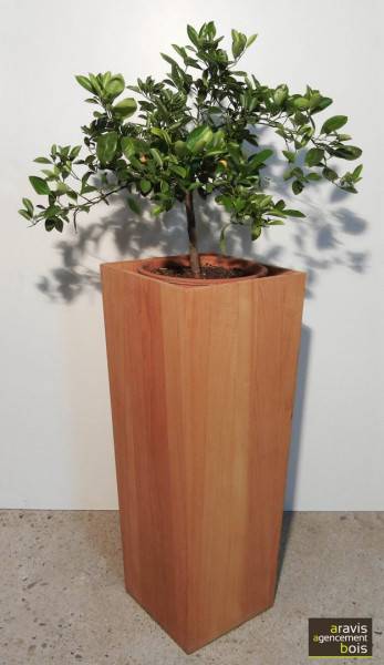 pot de fleurs